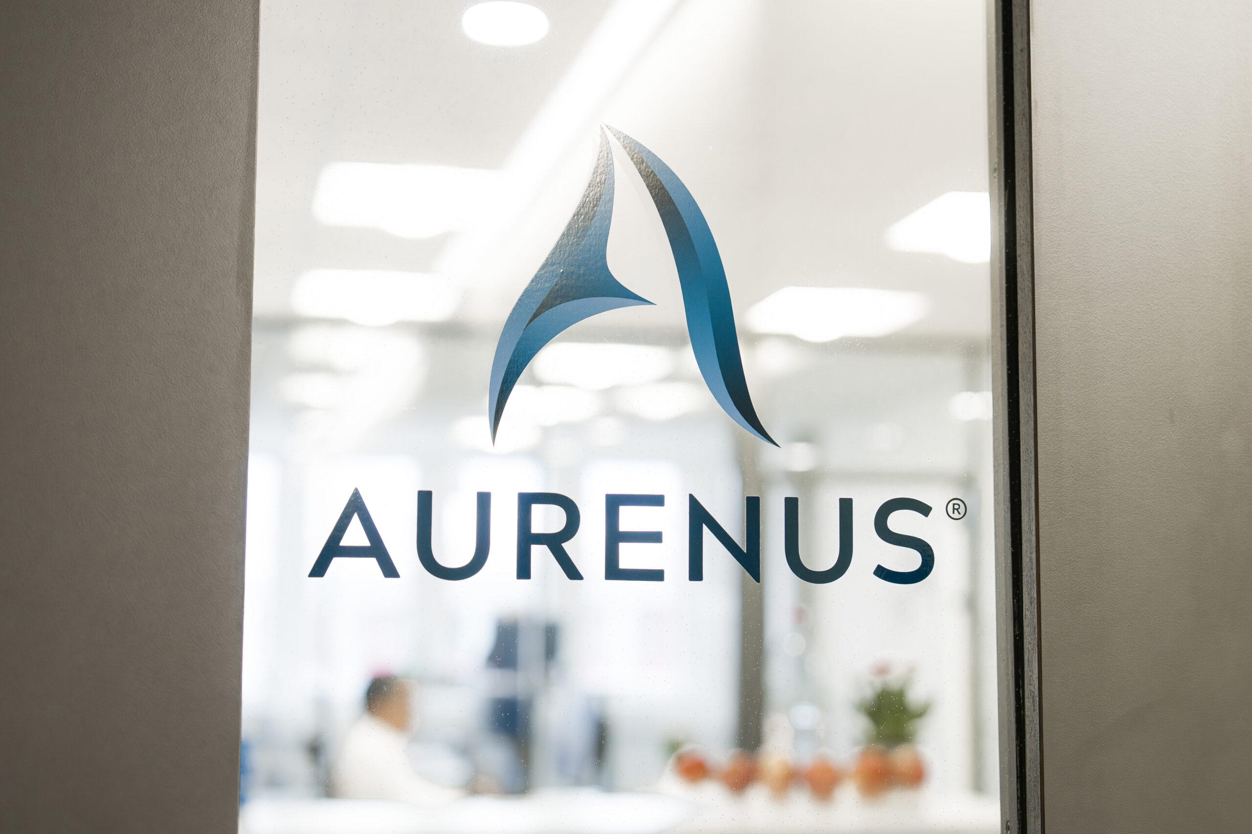 Aurenus-Office-66 Aurenus Office 66 scaled